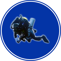 レスキューチーム同行